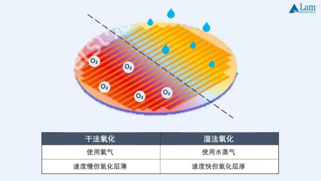 e8b4b47152832edbfe4454a136cf18ff